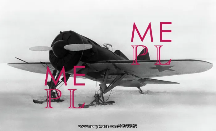 : Polikarpov I-16 Rata : Polikarpov I-16 Rata