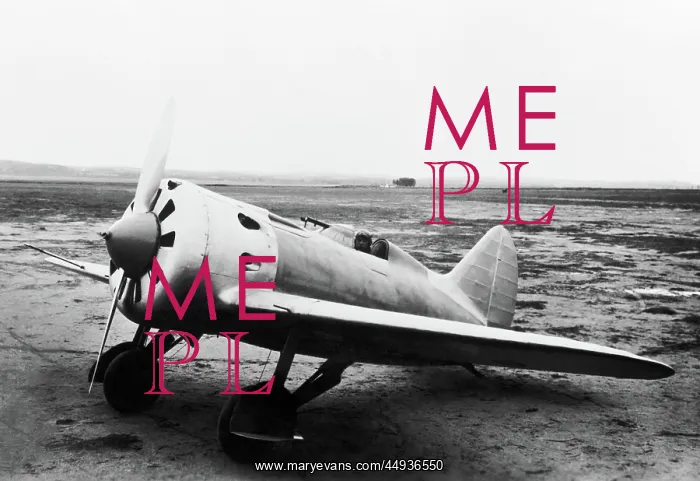 : Polikarpov I-16 Rata : Polikarpov I-16 Rata