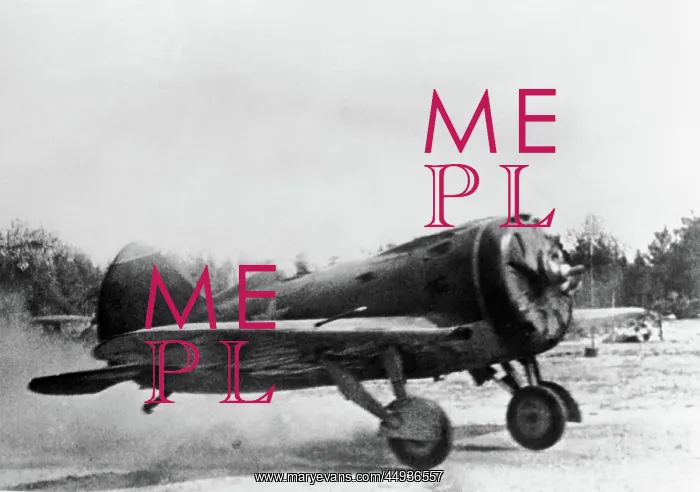 : Polikarpov I-16 Rata : Polikarpov I-16 Rata