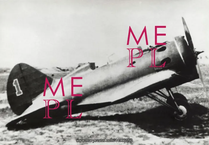 : Polikarpov I-16 Type 24 : Polikarpov I-16 Type 24