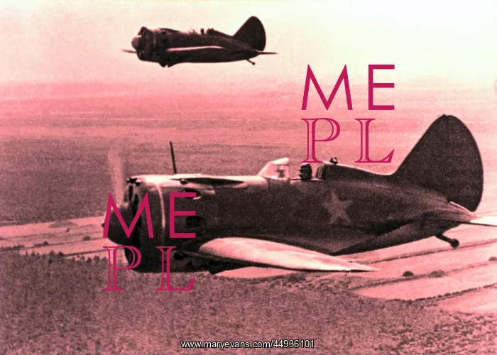 : Polikarpov I-16 Type 24 : Polikarpov I-16 Type 24