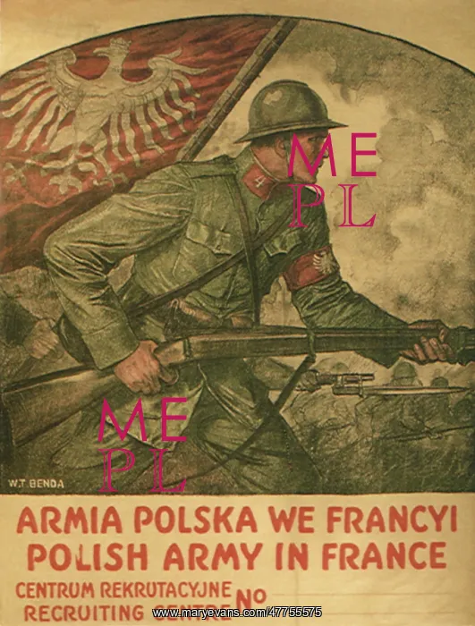 : Polish Army in France : Polish Army in France