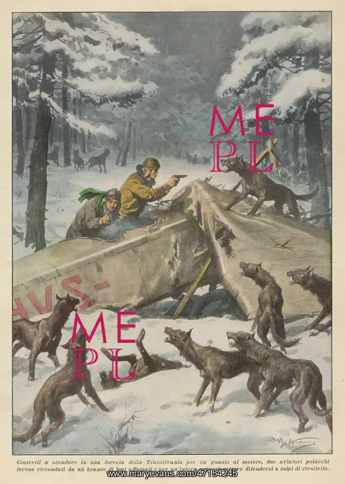 : Two Polish aviators confronted by hungry wolves : Two Polish aviators confronted by hungry wolves