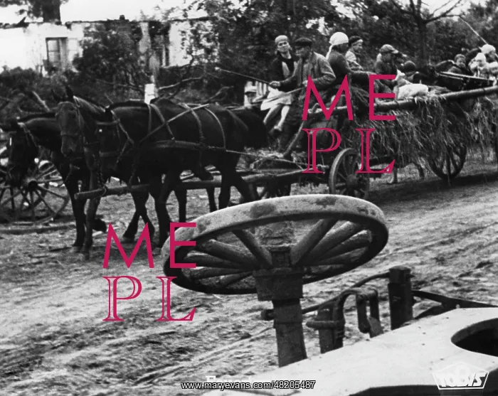 : Polish civilians, 1939 : Polish civilians, 1939