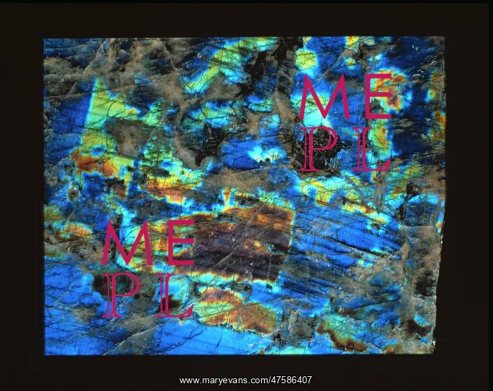 : Polished slab of labradorite : Polished slab of labradorite