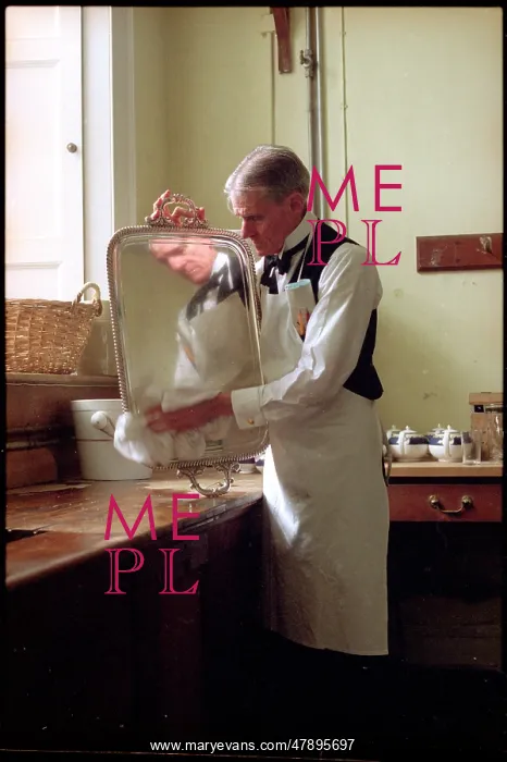 : POLISHING A SILVER TRAY : POLISHING A SILVER TRAY