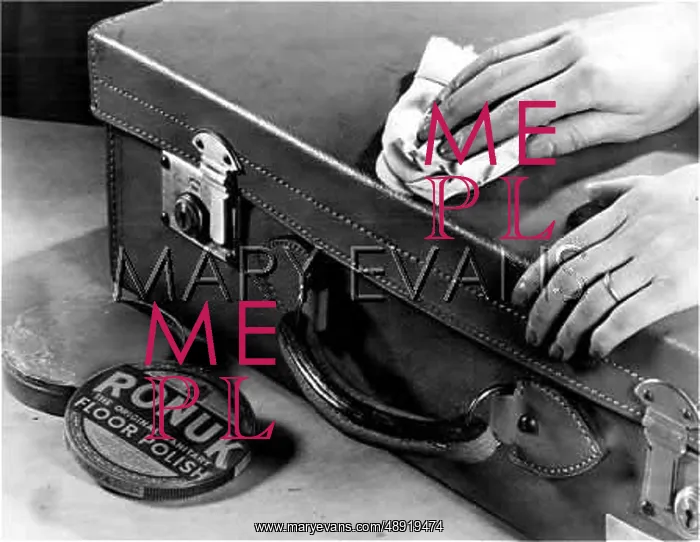 : POLISHING A SUITCASE : POLISHING A SUITCASE
