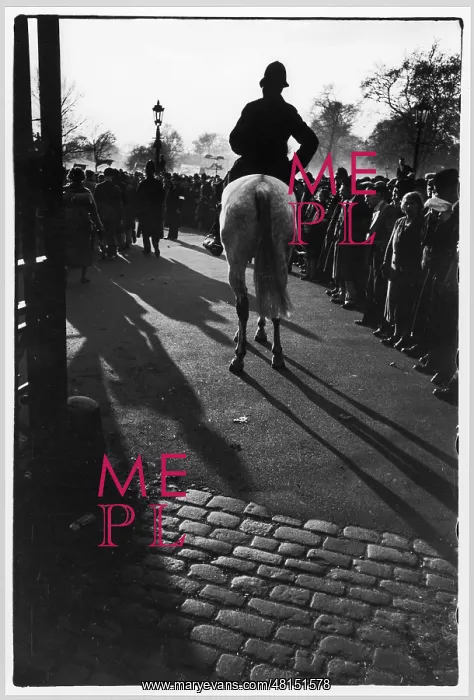  : POLITICAL DEMO 1936