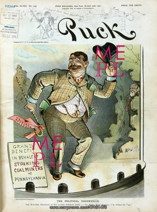 : The political vaudeville : The political vaudeville