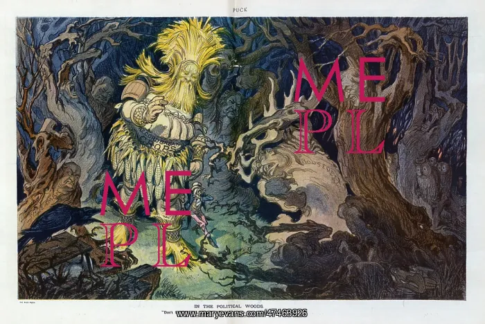 : In the political woods : In the political woods