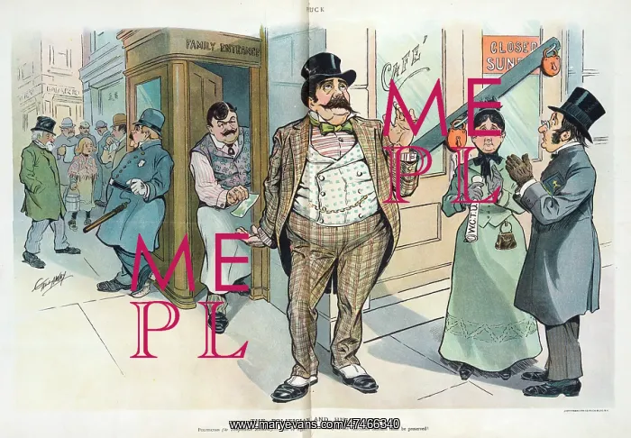 : The politician and his dupes : The politician and his dupes