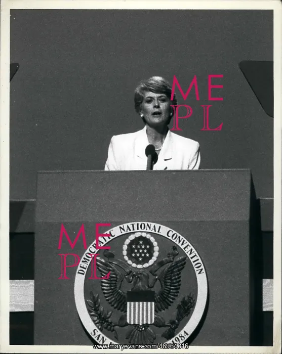 : US Politics - Government : US Politics - Government