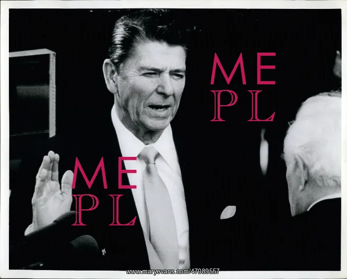 : US Politics - Government : US Politics - Government