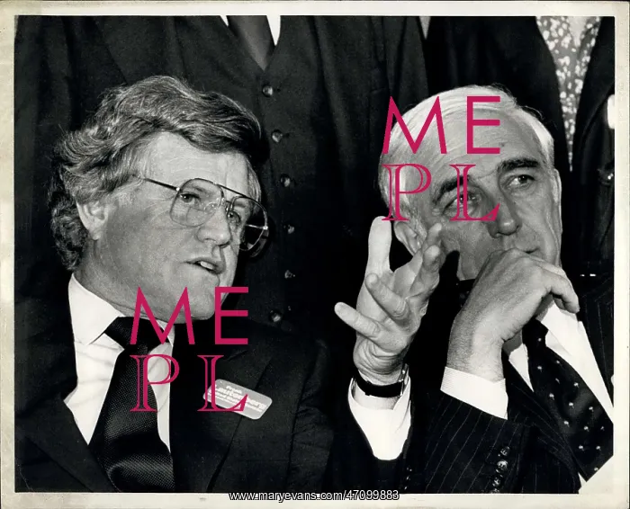 : US Politics - Government : US Politics - Government