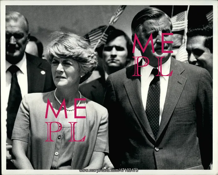 : US Politics - Government : US Politics - Government