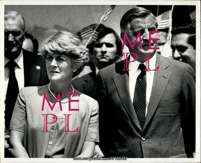 : US Politics - Government : US Politics - Government