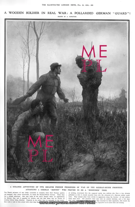 : A pollarded German Guard': trees as a soldier, 1916 : A pollarded German Guard': trees as a soldier, 1916