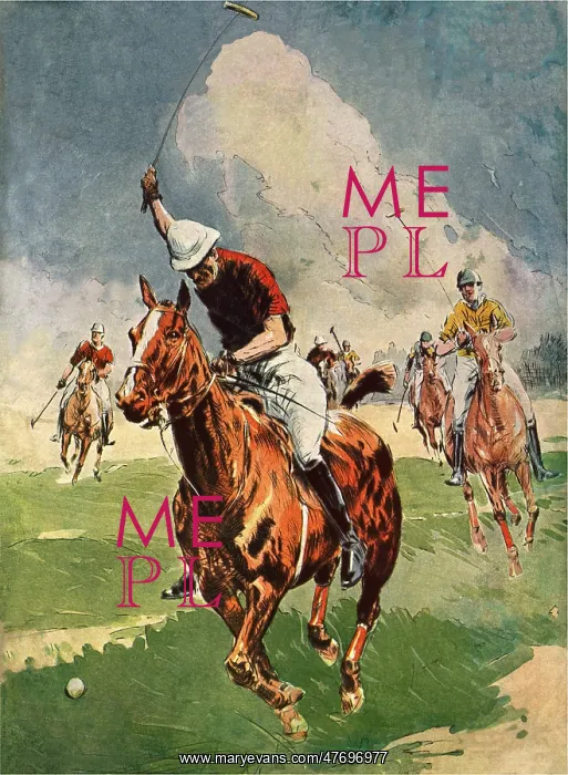  : Polo Chase