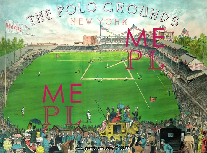 : The polo grounds. New York : The polo grounds. New York