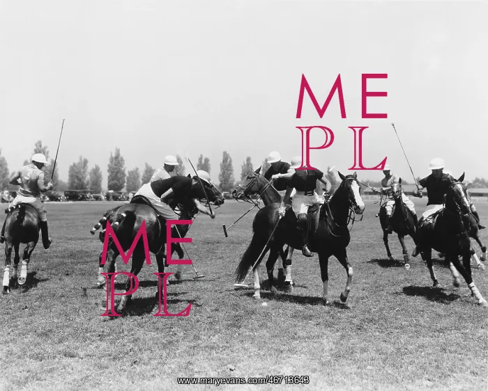 : POLO MATCH : POLO MATCH