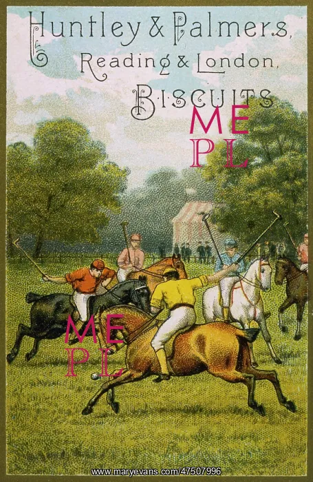 : POLO MATCH IN BRITAIN : POLO MATCH IN BRITAIN