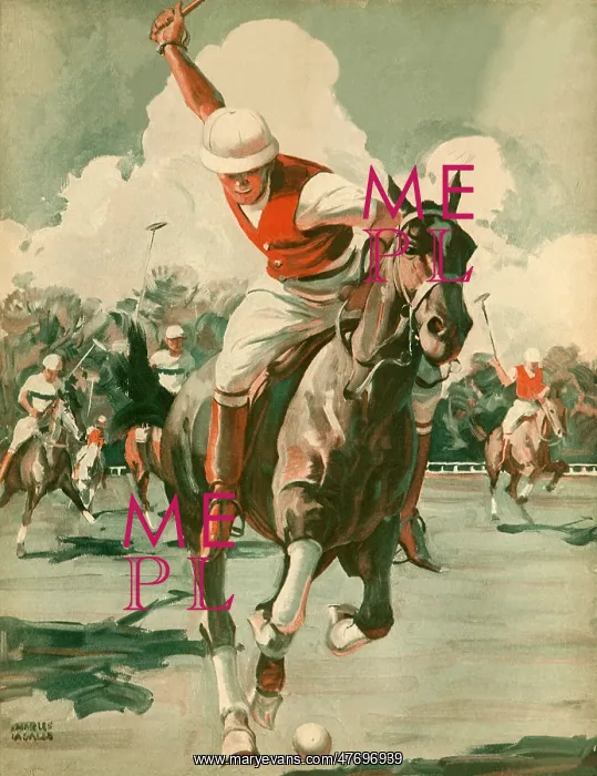  : Polo Player