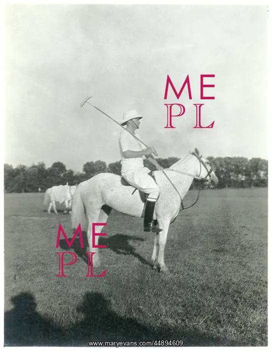  : Polo player on his pony