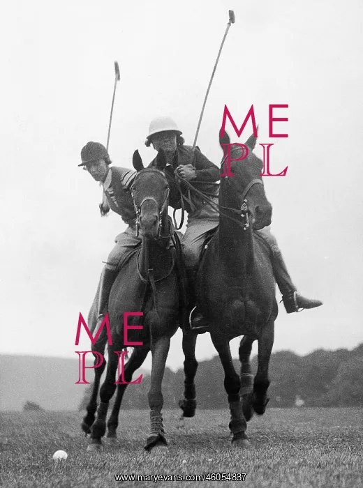: Two polo players : Two polo players