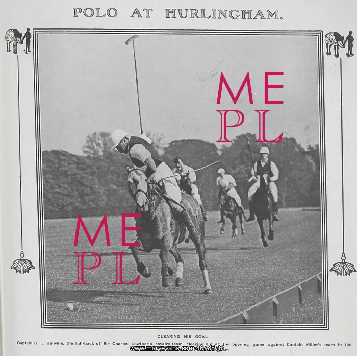 : Polo players : Polo players