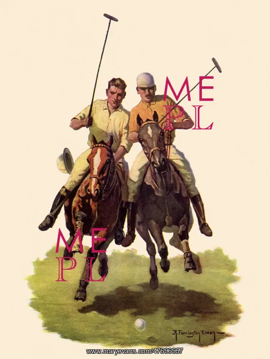 : Polo Players : Polo Players