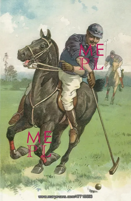  : Polo Swing