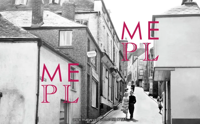  : Polruan, Fore Street c1955