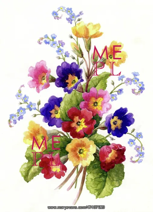  : Polyanthus and forget-me-nots