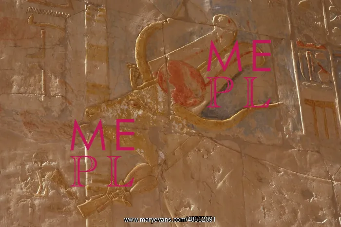: Polychrome relief representing the goddess Hathor as a cow : Polychrome relief representing the goddess Hathor as a cow