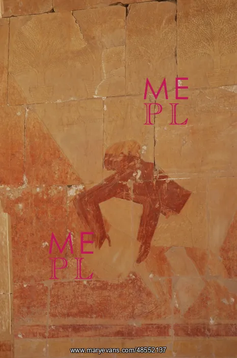 : Polychrome reliefs depicting an Egyptian worker. Deir el-Bah : Polychrome reliefs depicting an Egyptian worker. Deir el-Bah