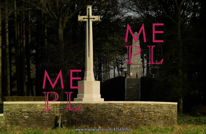 : Polygon Wood CWGC : Polygon Wood CWGC