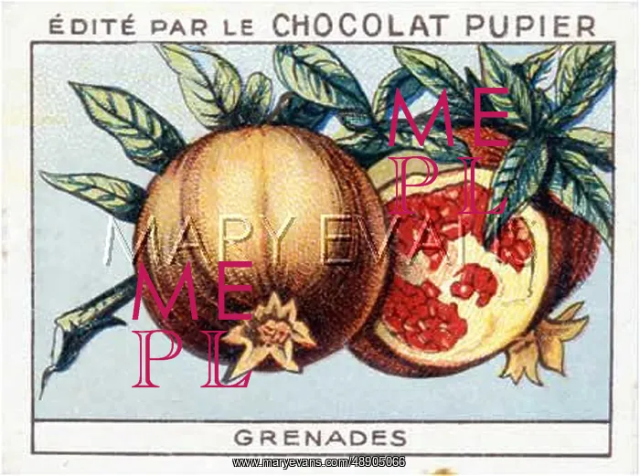 : POMEGRANATES ON A CARD : POMEGRANATES ON A CARD