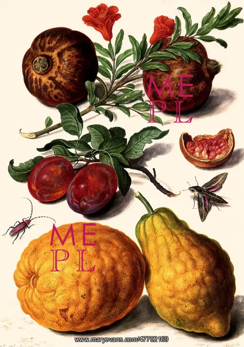  : Pomegranates and Citrons