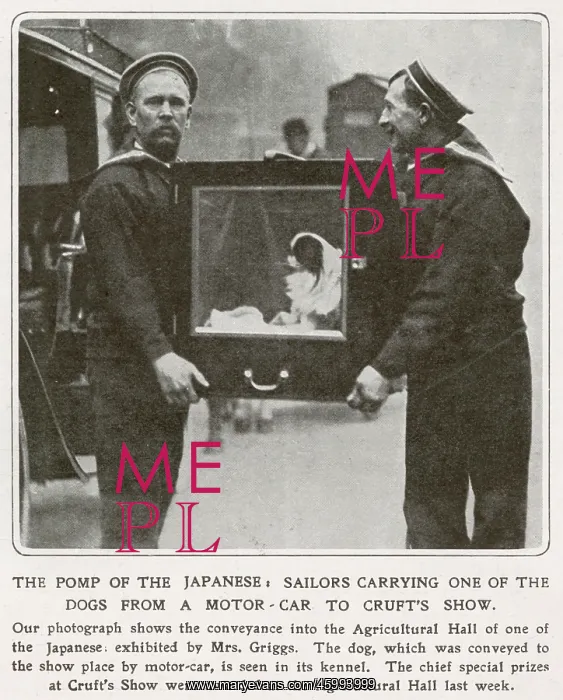 : The Pomp of the Japanese : The Pomp of the Japanese