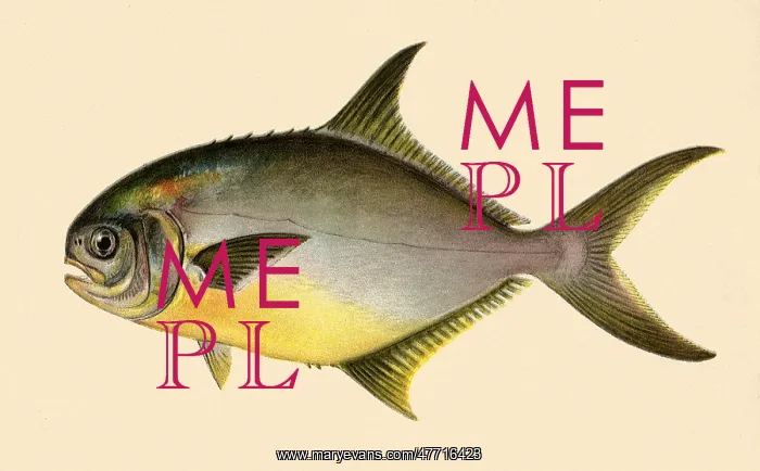  : Pompano