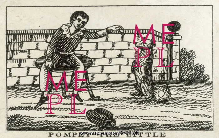 : POMPEY THE LITTLE : POMPEY THE LITTLE