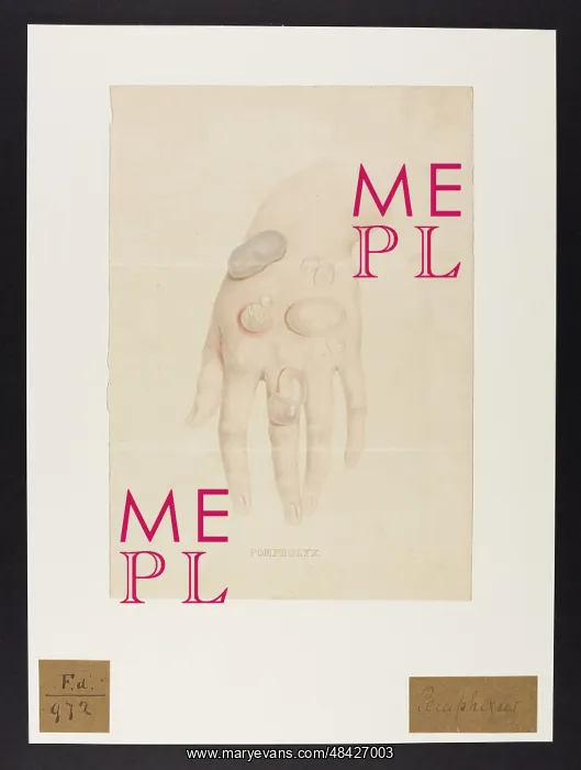 : Pompholyx (blank on verso) : Pompholyx (blank on verso)