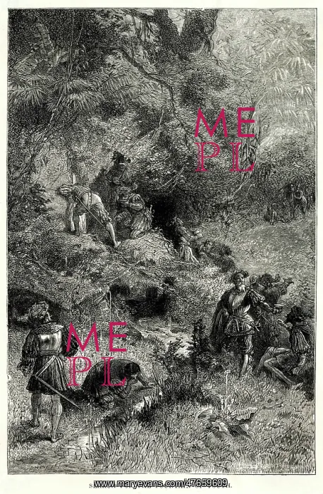 : Ponce de Leon in Florida : Ponce de Leon in Florida