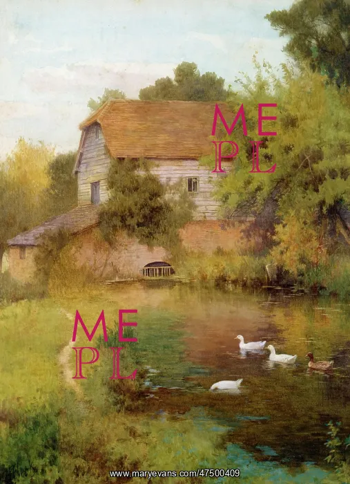 : The Mill Pond : The Mill Pond