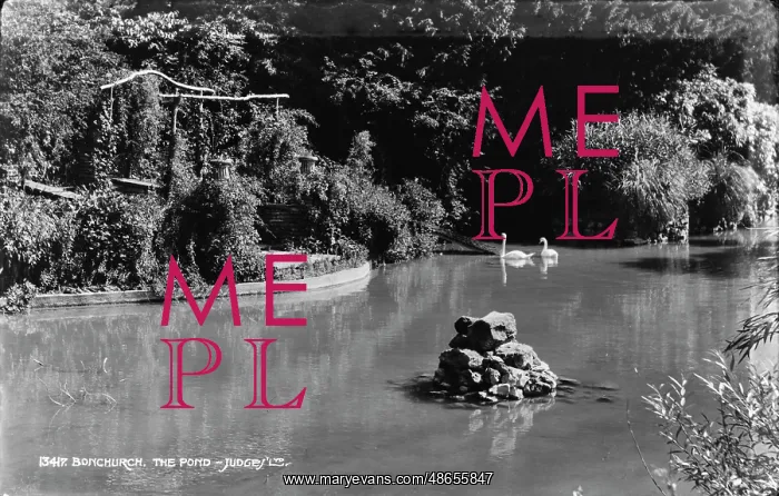 : The Pond at Bonchurch : The Pond at Bonchurch