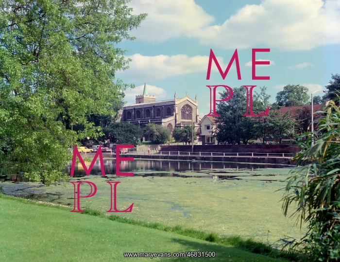 : The pond and church, Carshalton : The pond and church, Carshalton