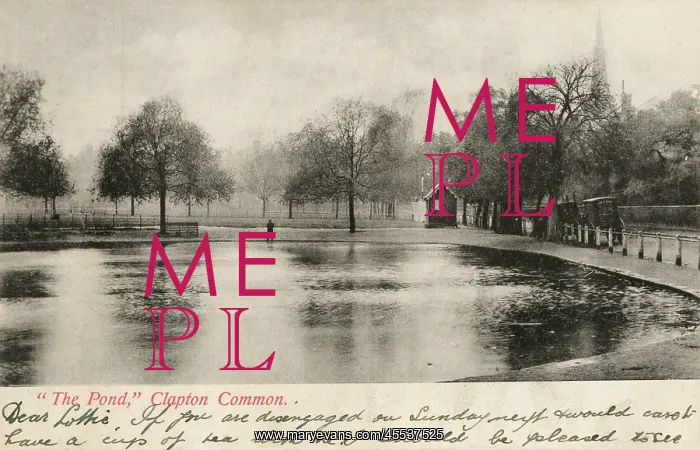 : The Pond on Clapton Common, London : The Pond on Clapton Common, London