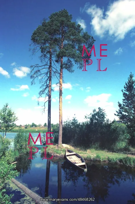 : Pond Mirror photo art work, 1992 : Pond Mirror photo art work, 1992