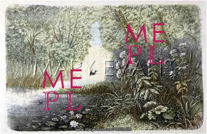 : POND (RENGADE) C1870 : POND (RENGADE) C1870