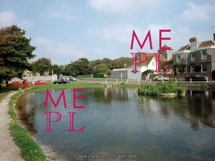 : The pond, Rottingdean : The pond, Rottingdean
